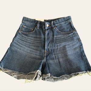 H&M Size 2 Blue high waisted Shorts